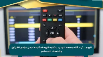 اليوم.. تردد قناة بسمة الجديد بإشارة قوية لمتابعة أجمل برامج الكرتون والضحك المستمر